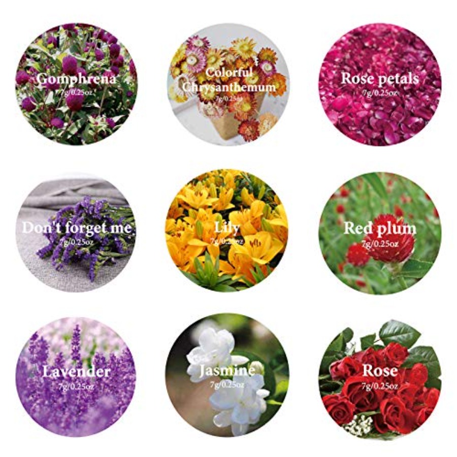 9 Sacchetti di Fiori Secchi, K - Dried Herbs recensione e prezzo
